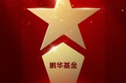 515投资者保护 | 走进校园、社区、花市！鹏华基金青年投教团荣获2026年度最具影响力投教项目奖
