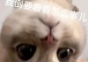 负债榜 | 8家湘股濒临资不抵债，威领股份偿债风险高企