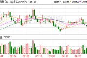 国能日新：公司及子公司无逾期对外担保