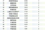 新基发行“头部吃肉、中小喝汤”：前海开源、大成、上银等40家公司发行不足10亿，迷你基金蔓延