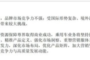江淮汽车再亏17亿元，“尊界”拉动仍难覆盖主业压力
