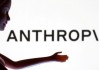 Anthropic洽谈融资300亿美元 估值超9000亿美元
