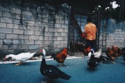 大茅村的她给余华写了一封信