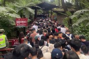 “加长版”五一假期收官：春假联动下多地景区接待游客数创历史新高，游客人均打卡2.1个城市