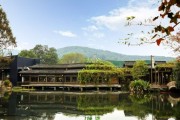 绿茶集团2025年业绩双高增领跑市场 供应链深耕、运营提效与持续研发创新共筑宽阔护城河
