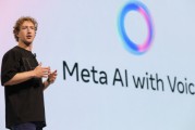 Meta发行250亿美元债券 投资者开始显露疲态