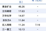 中东资本巨头，大举加仓A股