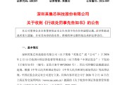 自问自答“蹭”热点！688209，公司及高管被罚800万元