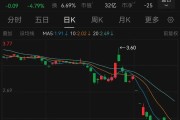“你们的回答都是复制粘贴吗？”股价持续下跌，股民追问*ST中岩