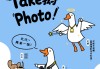 Take鹅Photo！尼康×条鹅联动趣学摄影