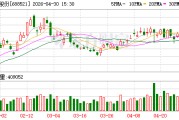 芯原股份涨停 “高光” 下：营收翻倍与亏损扩大并存