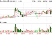 深纺织A：董事会审议通过《2025年度董事会工作报告》等多项议案