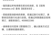 中东最大航空公司，罕见全线停航