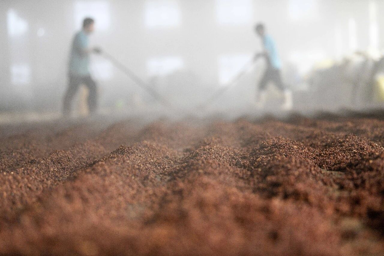 白酒产能结构第二轮调整来了？这次名酒也未必安全