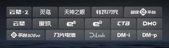 比亚迪30.55%复购率一骑绝尘，揭秘存量市场增长密码