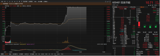 600481，午后直线涨停