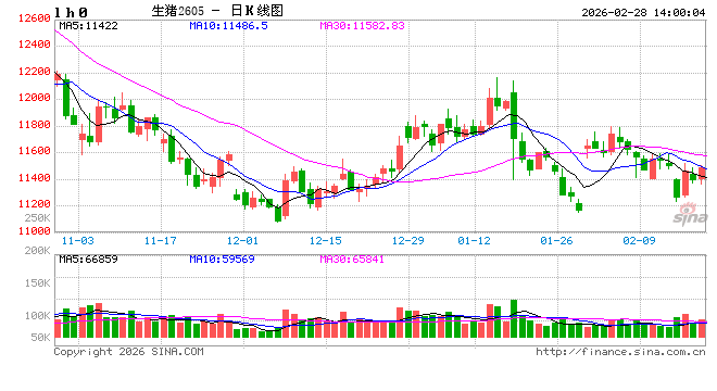 碳酸锂节后首周行情复盘：冲高回落与非洲政策变数