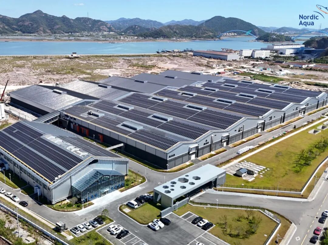 深耕浙江 | 潮涌东海，做蓝色经济的长期合伙人