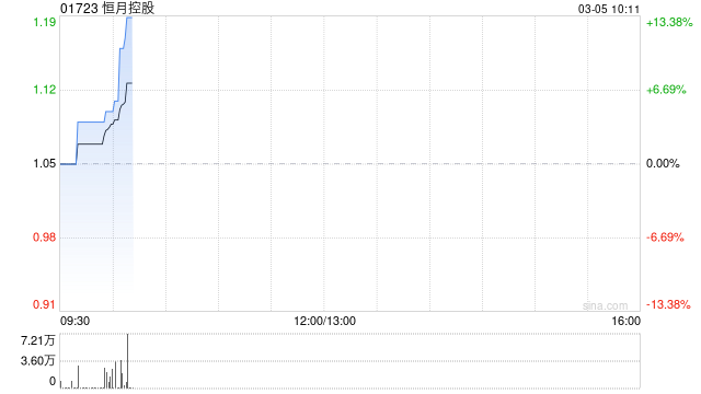 恒月控股委任大华马施云会计师事务所为新任核数师