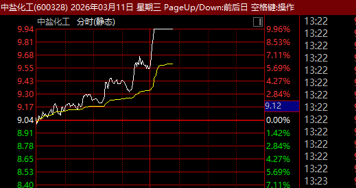 600328，午后直线涨停！化工板块，集体爆发！中东，突传大消息！