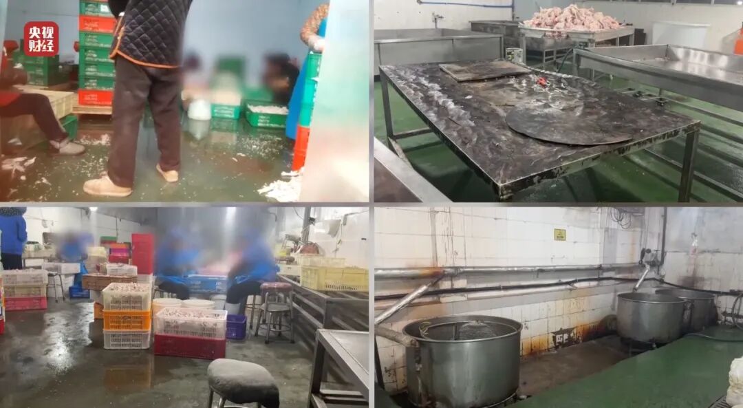 荐股亏损玩消失、万能神药是三无产品、给AI大模型投毒.....“3·15”晚会曝光了这些