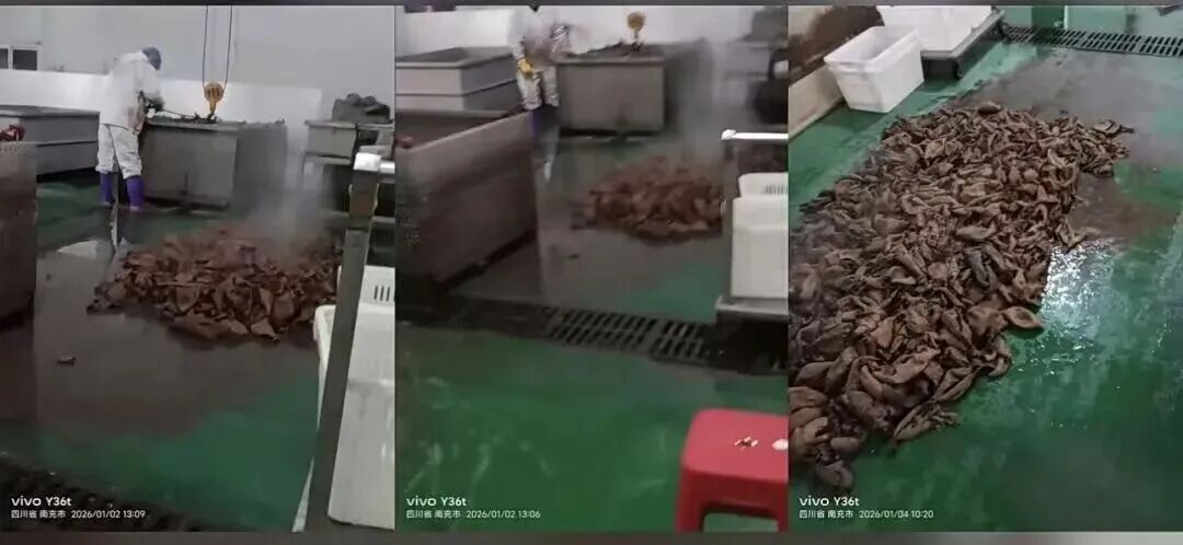 千万粉丝网红鹿哈或需赔偿26.9亿元,带货牛肚翻车