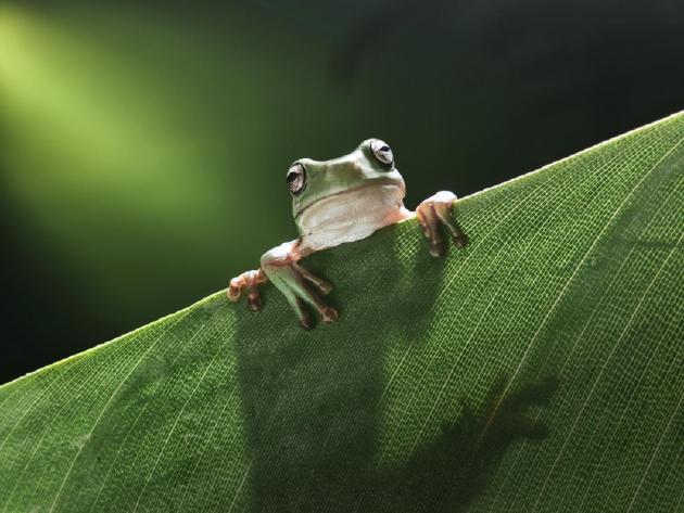 OPPO Find N6全球发布：破解折叠屏8年折痕难题 售价9999元起