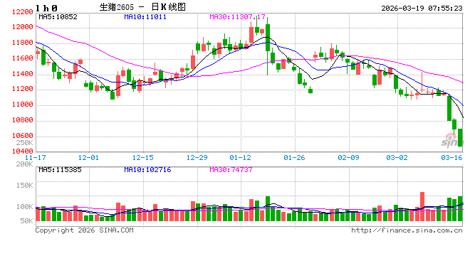 全行业亏损！猪价“跌跌不休”，底在何方？