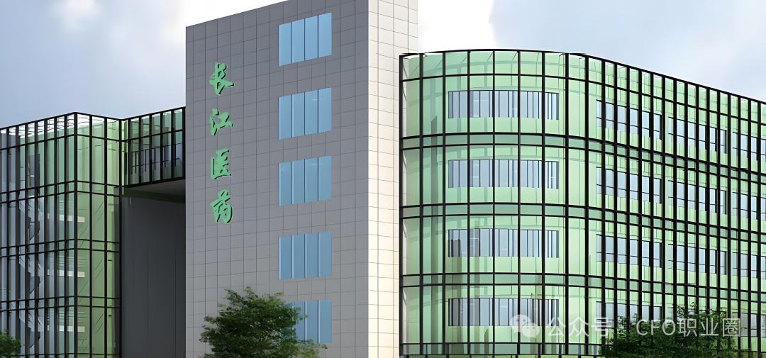 罕见！A股公司3任财务总监被各罚200万！