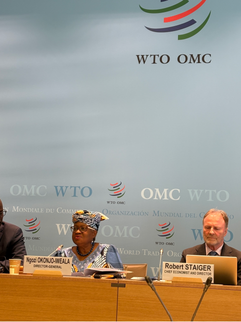 世贸组织全球贸易展望：中东冲突进一步加剧贸易前景放缓 农业将受影响