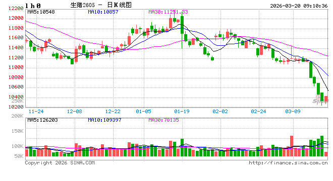 生猪期货主力合约创新低 行业产能调控有待继续