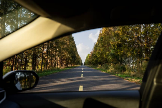 在东滩，越来越多的上海家庭开始“认真”过周末