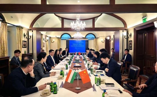 中国进出口银行董事长陈怀宇在匈牙利开展工作调研