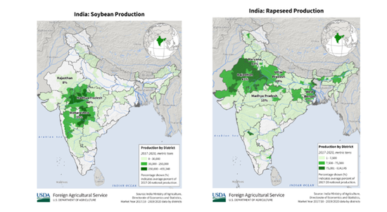 避险情绪回落,关注全球植物油头号买家行为边际变化