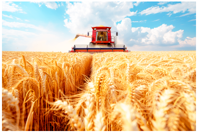 “十五五”开局,农业板块迎来“政策+周期”双重驱动