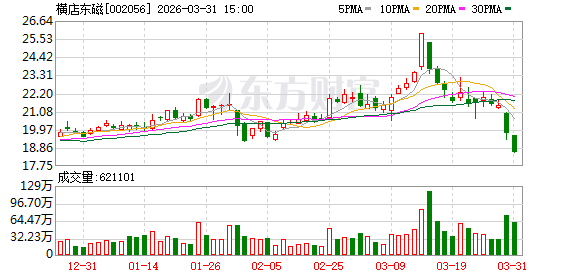 横店东磁：东望渔光、东赣渔光两个项目仍在建设中