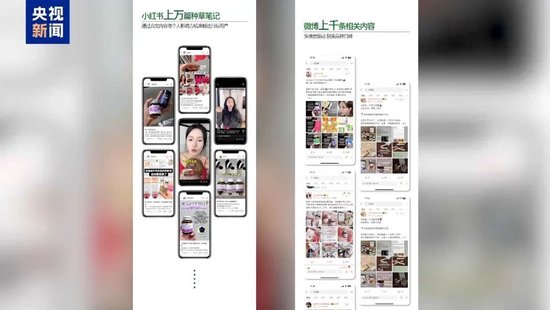 “进口优思益”被查，曾获众多明星推荐！营销公司老总：我们将广州公司包装成澳洲公司，企业最新回应并致歉