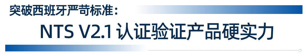 硬核通关！这款储能变流器拿下欧洲市场“入场券”