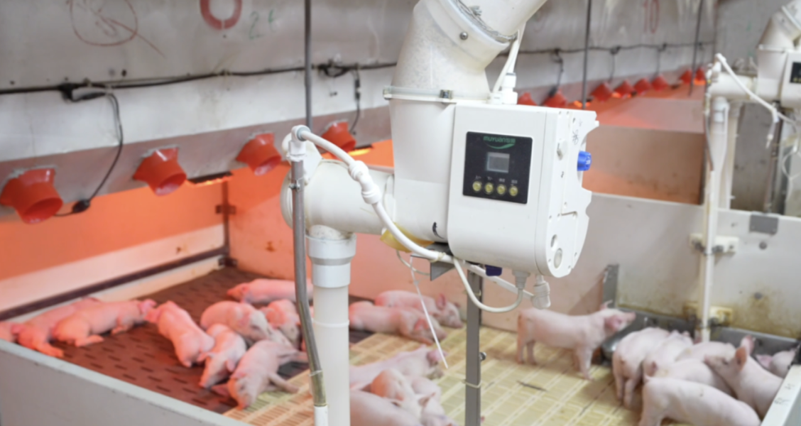 牧原股份出栏7798万创新高，然规模壁垒难掩\