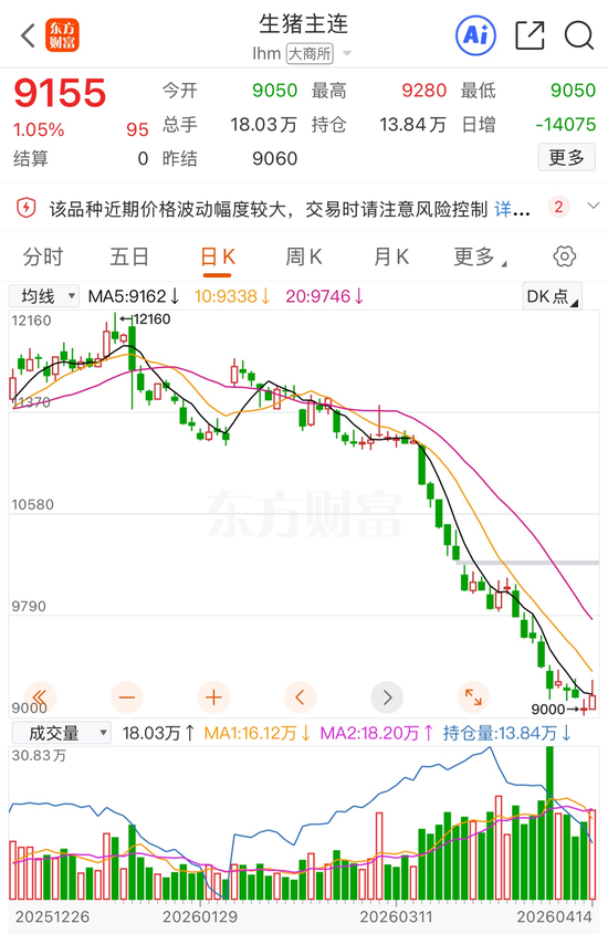 期货率先反弹！生猪主力合约涨超1% 猪肉概念再度大涨