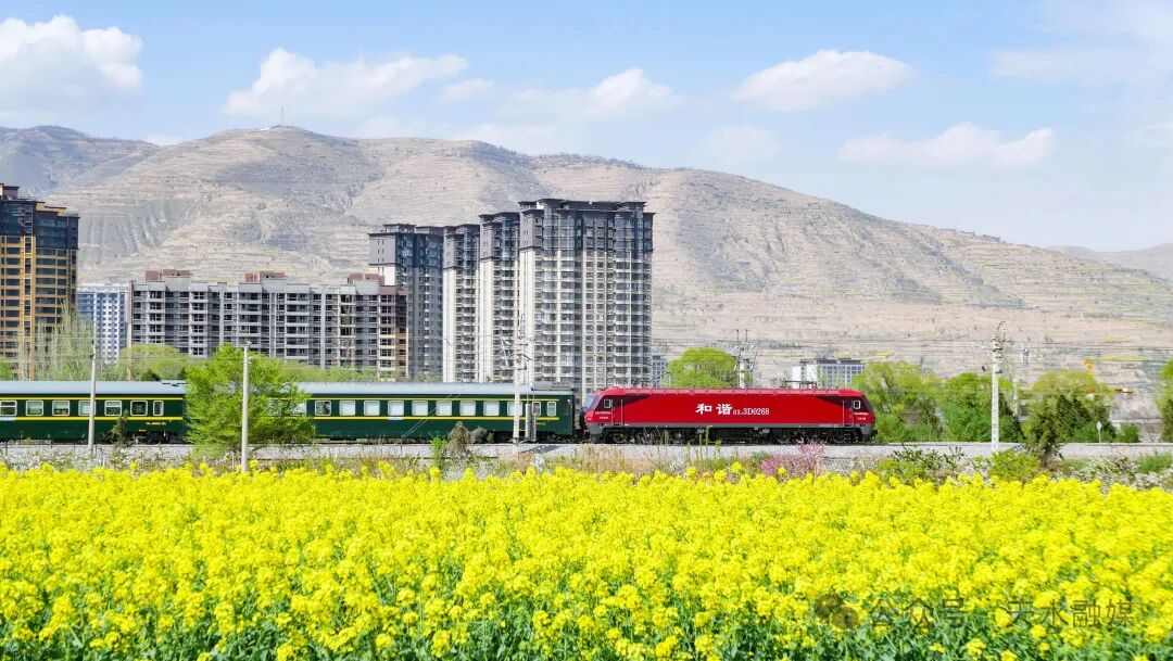 民间物议|年产738亿块!天水,比麻辣烫更燃的是芯片