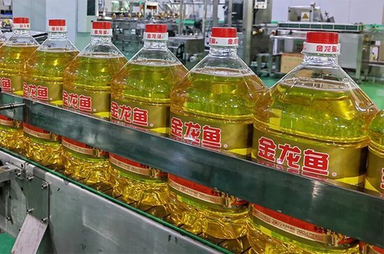 金龙鱼一工厂发生触电致死事故，官方调查报告公布