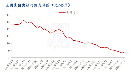 生猪价格持续磨底，拐点何时到来