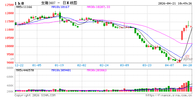 中国银河证券：生猪供需矛盾显化 年内将回归低位震荡格局