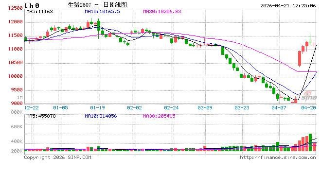 国泰君安期货：借来的翅膀，能让猪价飞多久？