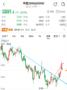 国泰君安期货：借来的翅膀，能让猪价飞多久？
