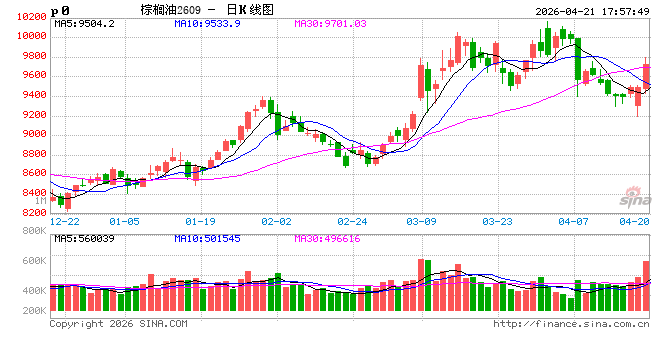 厄尔尼诺叠加B50，棕榈油领涨油脂板块