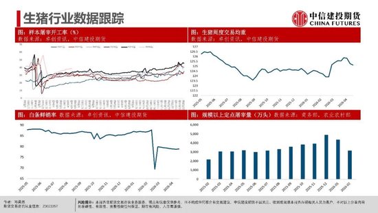 【生猪旬报】期现反弹修复后的市场展望