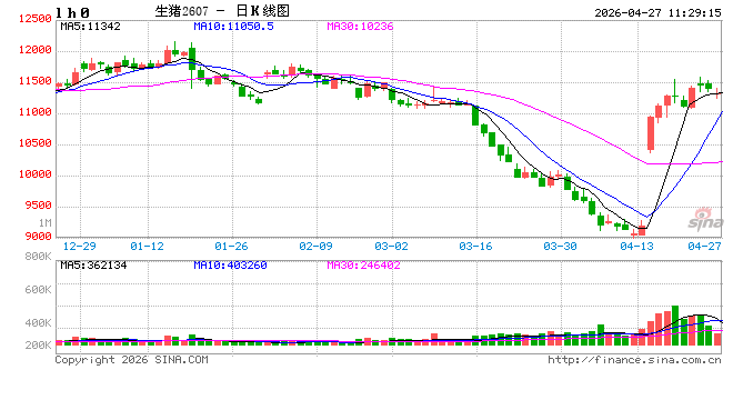南北市场同步偏弱 生猪出栏节奏主导走势