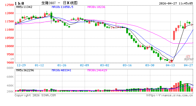 生猪及白条价格触底反弹 毛白价差收窄